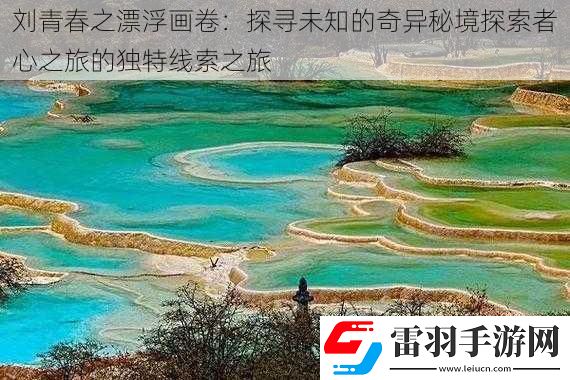刘青春之漂浮画卷