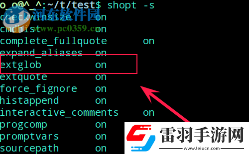 如何使用rm命令删除特定文件