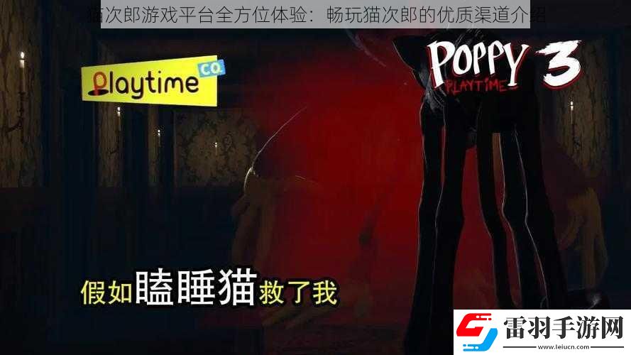 猫次郎游戏平台全方位体验