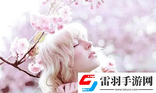 免费网站在线观看高清版电视剧