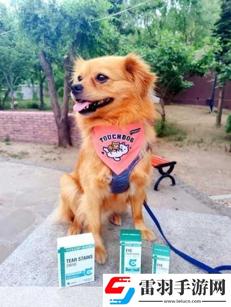 坐在根茎写作业好吗终于重新运营当然可以！以下是一些新的标题建议
