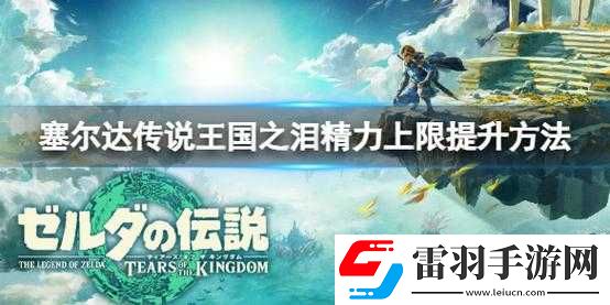 塞尔达传说王国之泪精力上限提升攻略