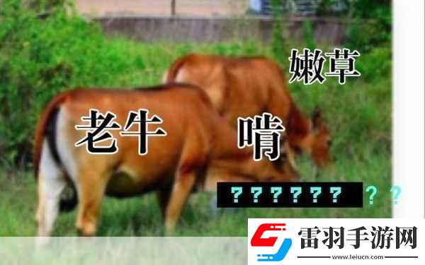 老牛嫩草一二三产品区别是什么