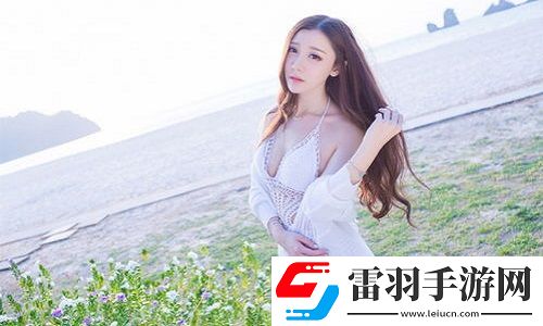 成品网源码78w78的特点