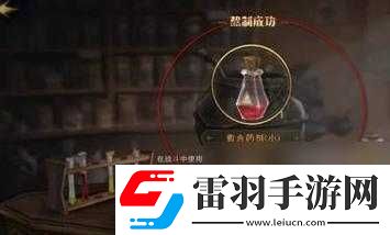 哈利波特魔法觉醒愈合药剂使用指南