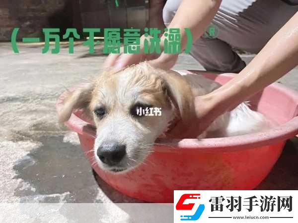老牛嫩草一二三产品区别是什么