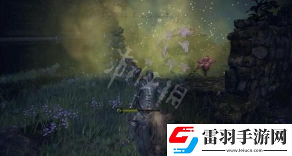 艾尔登法环王室卷轴给谁