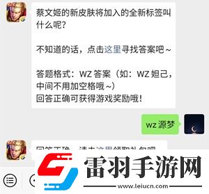 蔡文姬的新皮肤将加入的全新标签叫什么呢