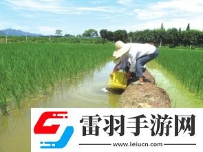 生态效益引领绿色未来