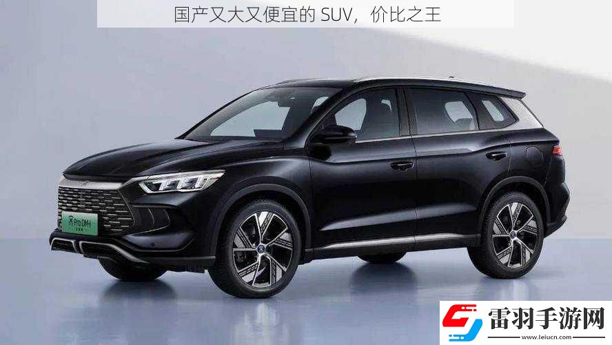 国产又大又便宜的