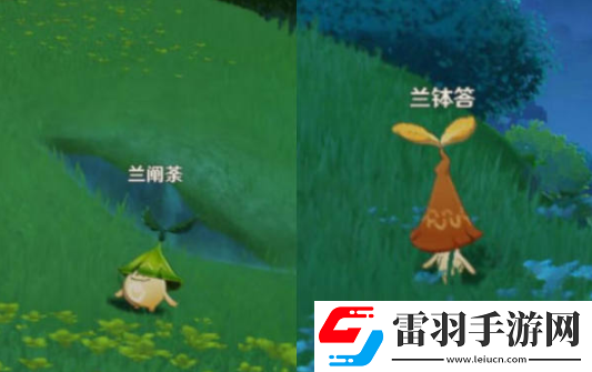 原神须请安全玩耍攻略