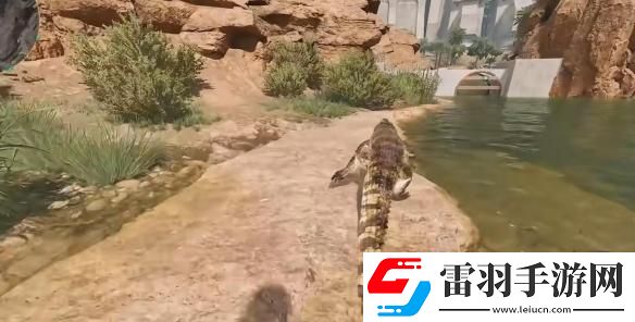 三角洲行动鳄鱼在哪