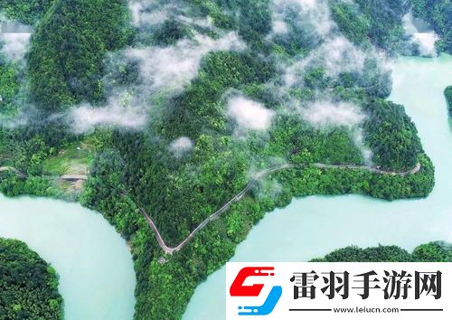 生态效益引领绿色未来