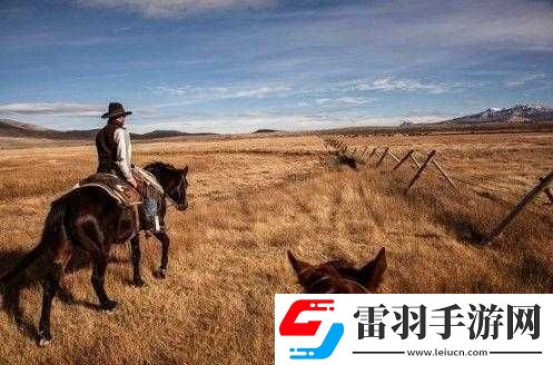 美国与动物