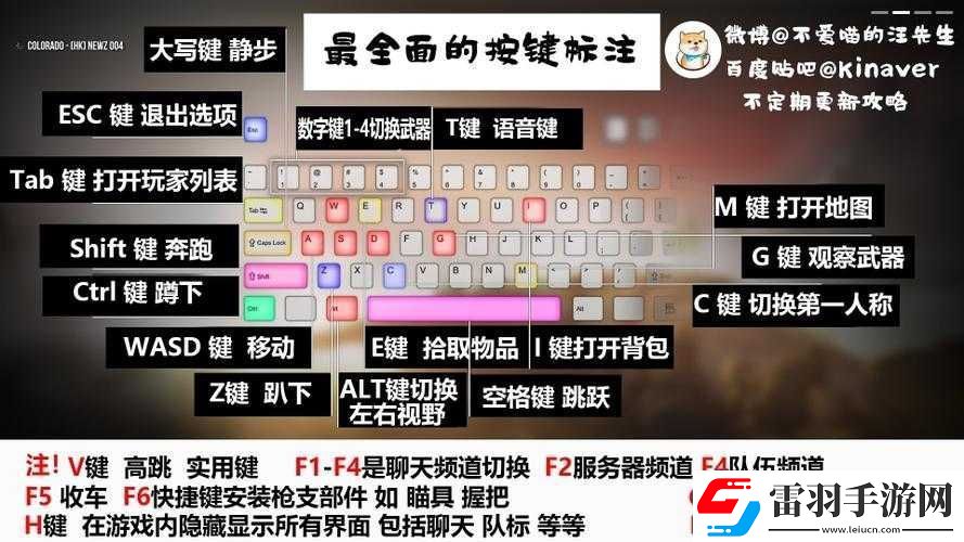 僵尸战争游戏配置要求解析