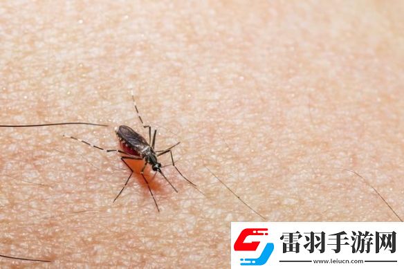 广州一村每周放出30万只绝育蚊子