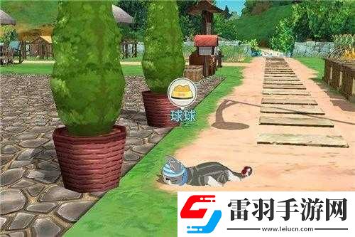 小森生活养猫攻略