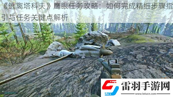 逃离塔科夫鹰眼任务攻略