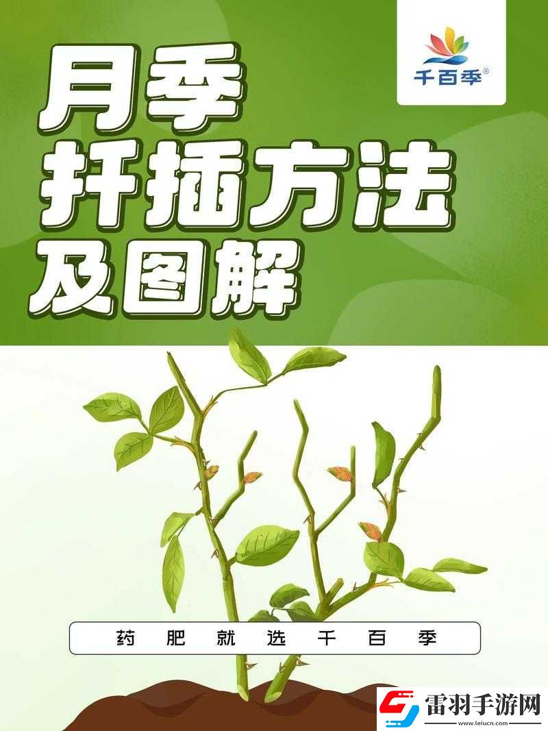 欧式