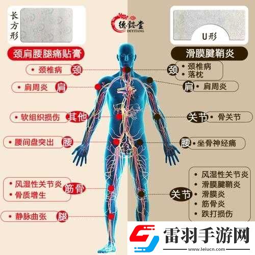 颈腰挺过那层薄膜好疼痛缓解方法
