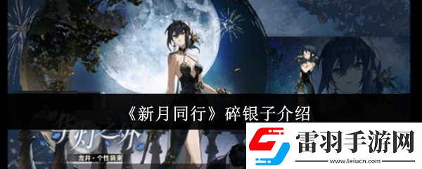 新月同行碎银子怎么样