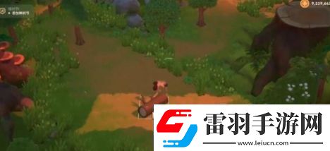 珊瑚岛刷硬木攻略