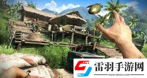 孤岛惊魂3联机攻略