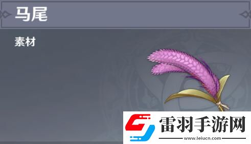 原神马尾分布图