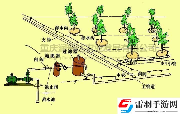 苏软软的灌溉奇遇