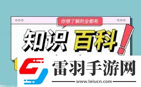 解析xiaosuo的含义是什么