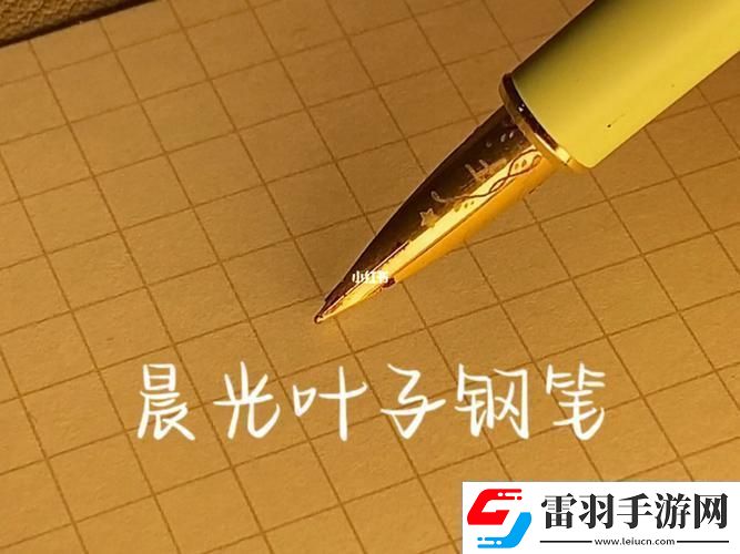 “沙沙声小”的笔