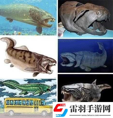 得到超级肉禽系统的紫岭红山有什么特别之处