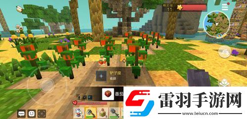 手工星球怎么种植开垦荒地种植方法介绍