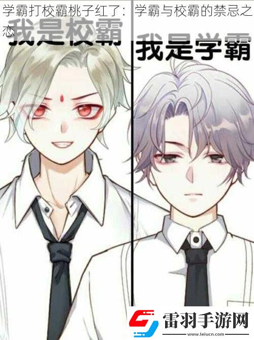 学霸打校霸桃子红了