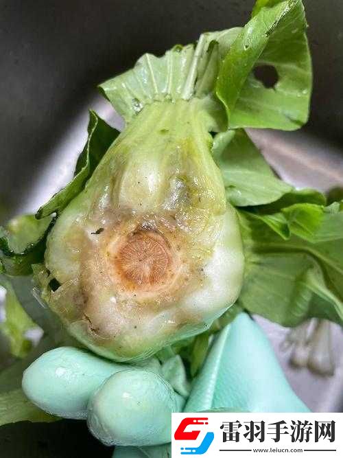 小东西好几天没弄了还能吃吗