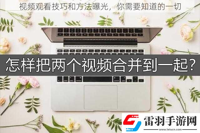 视频观看技巧和方法曝光