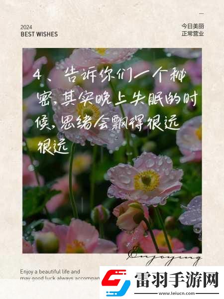 凌晨三点播放的视频叫什么