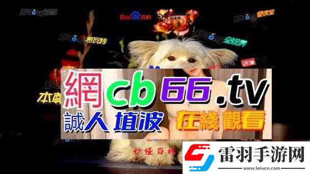 成品网源码