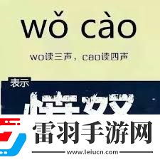 网络热词