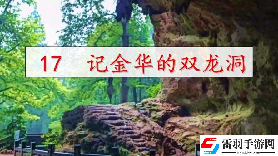 双龙