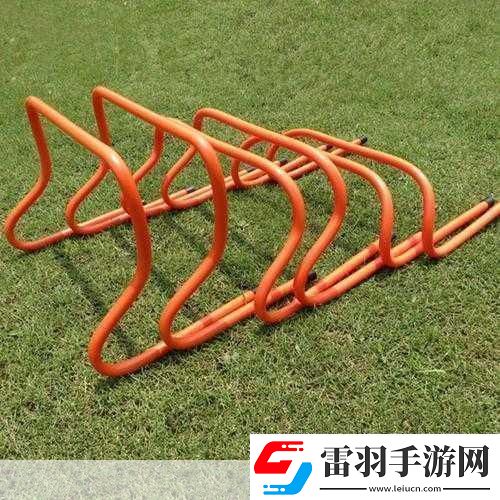 放学后的体育器材
