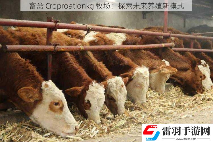 畜禽
