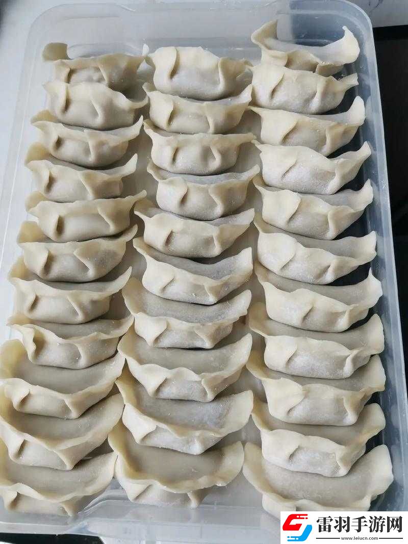 肉馅小水饺