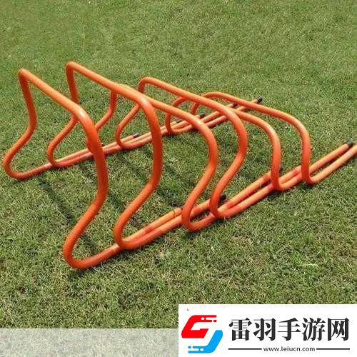 放学后的体育器材