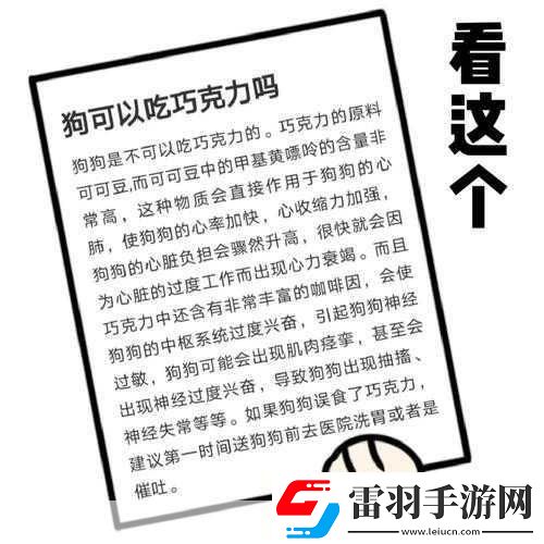 巧克力可以喂给狗吃吗