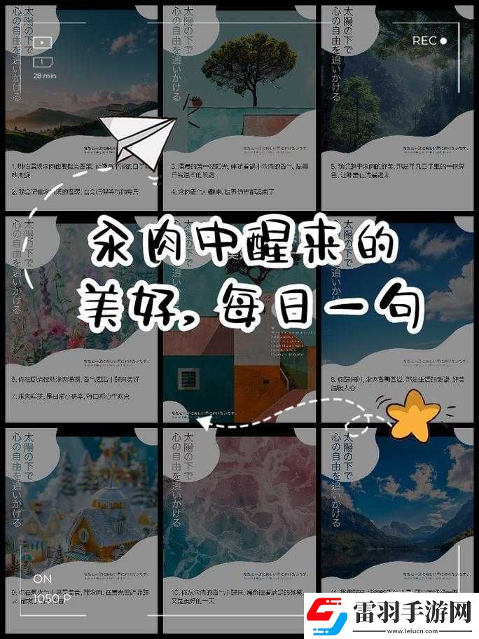 每天在汆肉中醒来军里