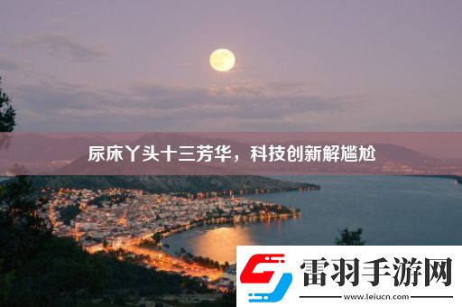 尿床丫头十三芳华