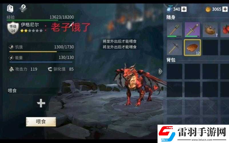 冰原守卫者