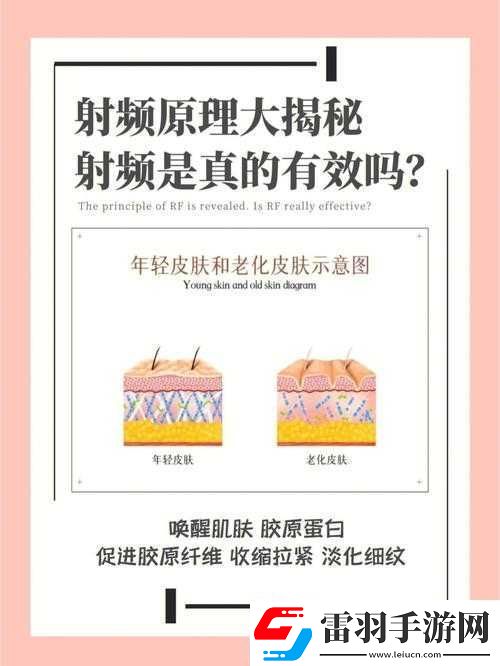 RF射频的原理和作用