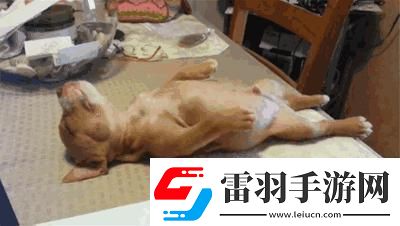 睡意朦胧